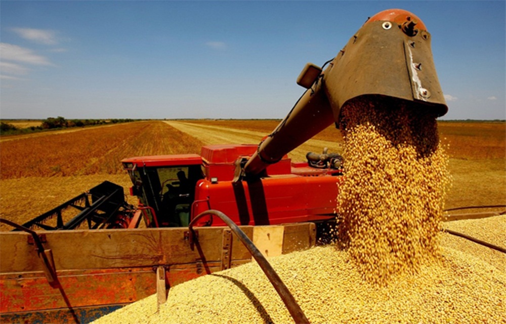 Ir para  <p>A produ&ccedil;&atilde;o de gr&atilde;os para a safra 2016/17 est&aacute; estimada em 219,1 milh&otilde;es de toneladas, com um aumento de 17,4% ou 32,5 milh&otilde;es de toneladas frente &agrave; safra...